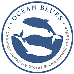 Oceans Blue Logo, CJS Initiative with Oceanswell